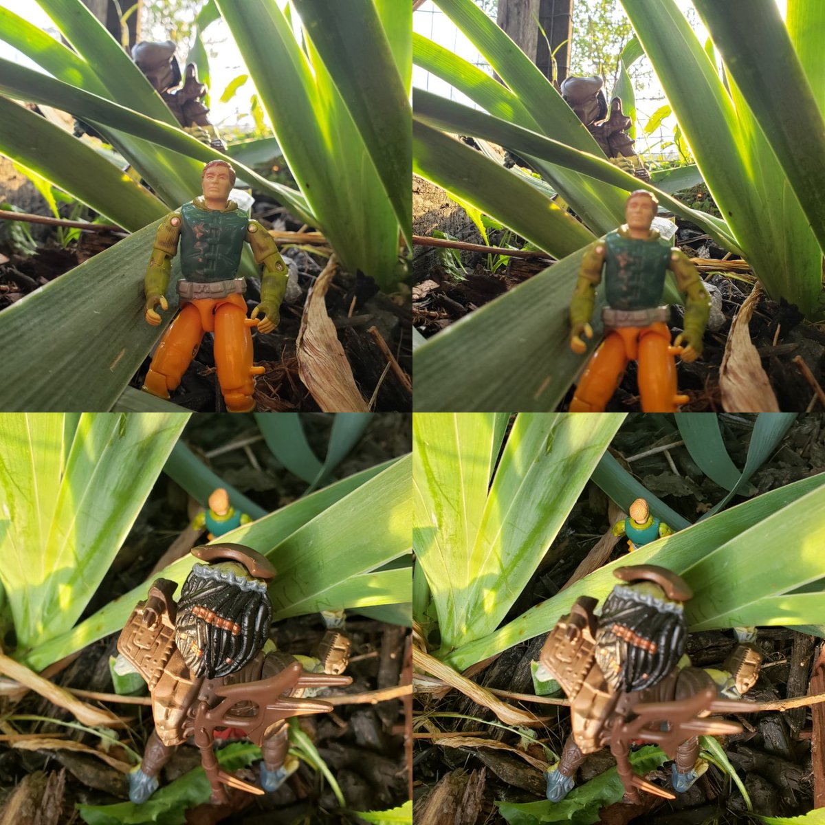cracktasticpod's tweet photo. The hunt continues on #prednesday @OzstradamusToyz #thepfpn #cracktasticplastic #kenner #predator #gijoe #gridiron #renegade #toyphotography #naturephotography #actionfigurephotography #arah #arealamericanhero #kennertoys #kennerpredator https://t.co/yDuHhjXJ5M