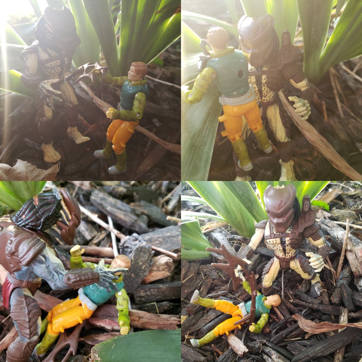 cracktasticpod's tweet photo. The hunt continues on #prednesday @OzstradamusToyz #thepfpn #cracktasticplastic #kenner #predator #gijoe #gridiron #renegade #toyphotography #naturephotography #actionfigurephotography #arah #arealamericanhero #kennertoys #kennerpredator https://t.co/yDuHhjXJ5M