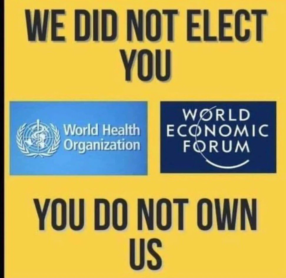 smith14536986's tweet photo. @Straightgoodsw1 Just like her dad ... entitled for no good reason.
#LiberalsMustGo #WEFMustGo #WHOMustGo
#PierrePoilievreForPM https://t.co/Ph5vZHzjKR