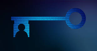 Muchos me habéis pedido que os deje mi software preferido para cada fase del pentesting, pues bueno aquí tenéis los que considero imprescindibles:

-Fase de Recopilación de Información:

Nmap: Escaneo de puertos y servicios.

theHarvester: Recopilación de información sobre