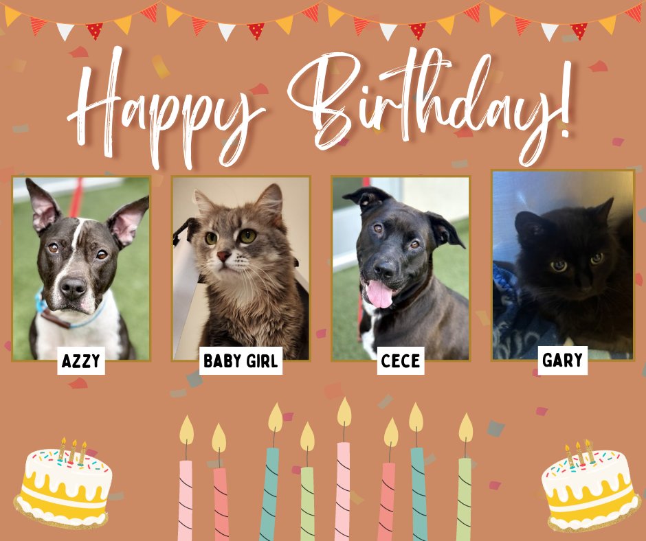 Placer SPCA tweet media