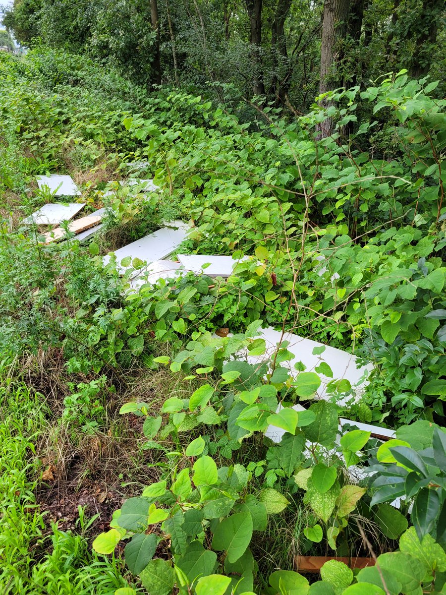 JWBredewout's tweet photo. Waarom doen mensen dit? Langs spoor Den Dolder- Amersfoort... complete keuken, gedumpt in het weekend.  @UtrLandschap @ProRail https://t.co/5C7Ma3T4Pe