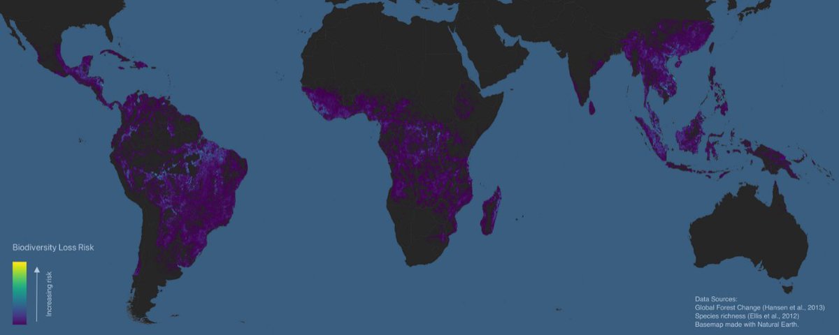 Space Intelligence 🚀🛰️🌎🗺️ tweet media