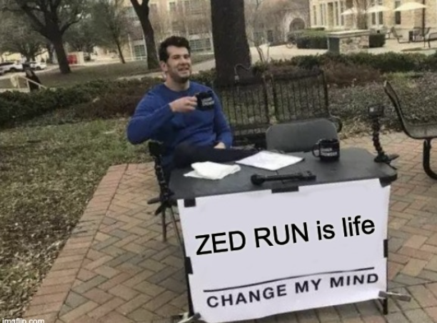 ZED CHAMPIONS tweet media