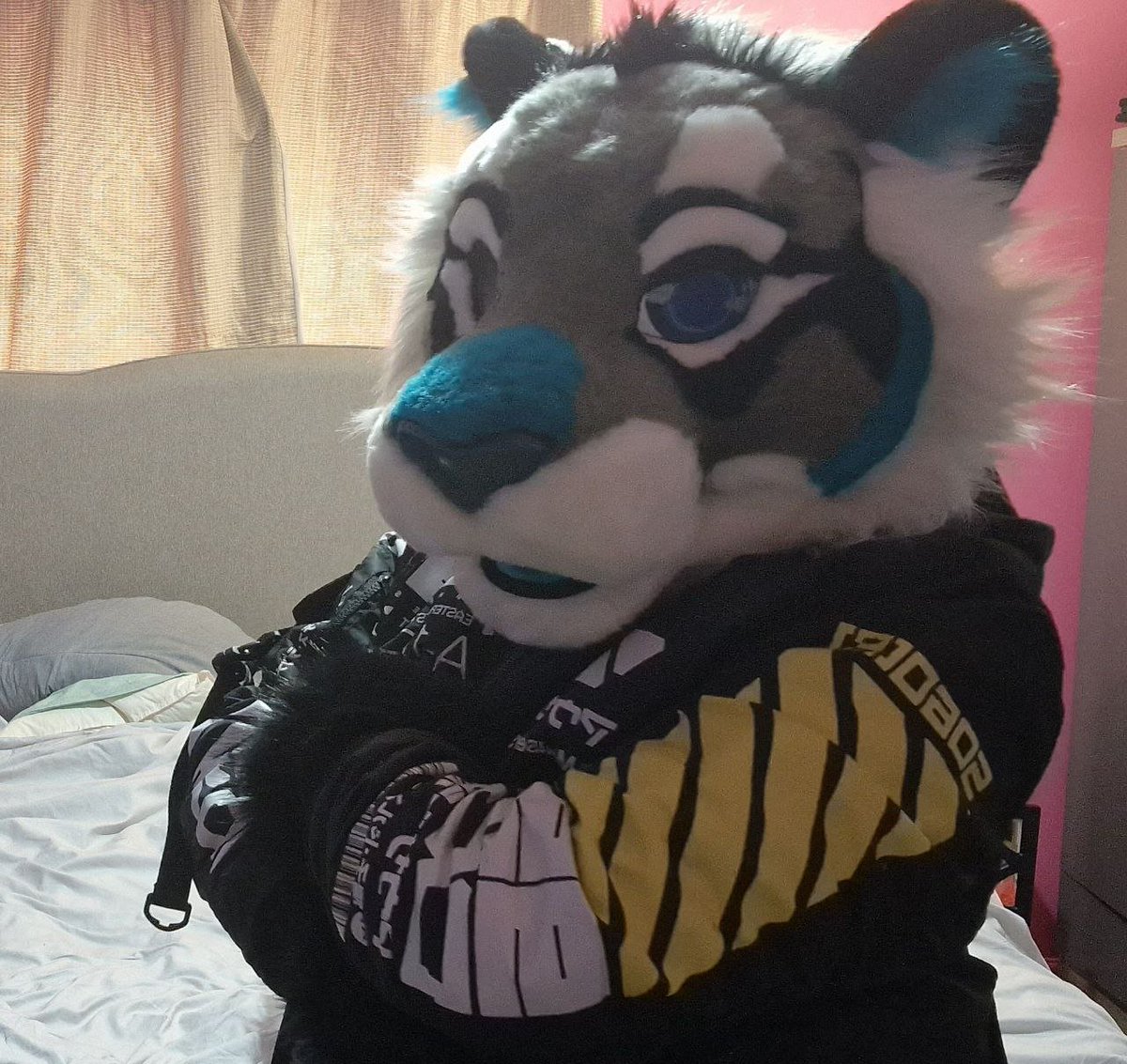 I wouldn't mess with this catto, they look like they mean business!

New outfit for Comet what do you all think?

Suit made by <a href="/Kloofsuits/">Kloofsuits</a>