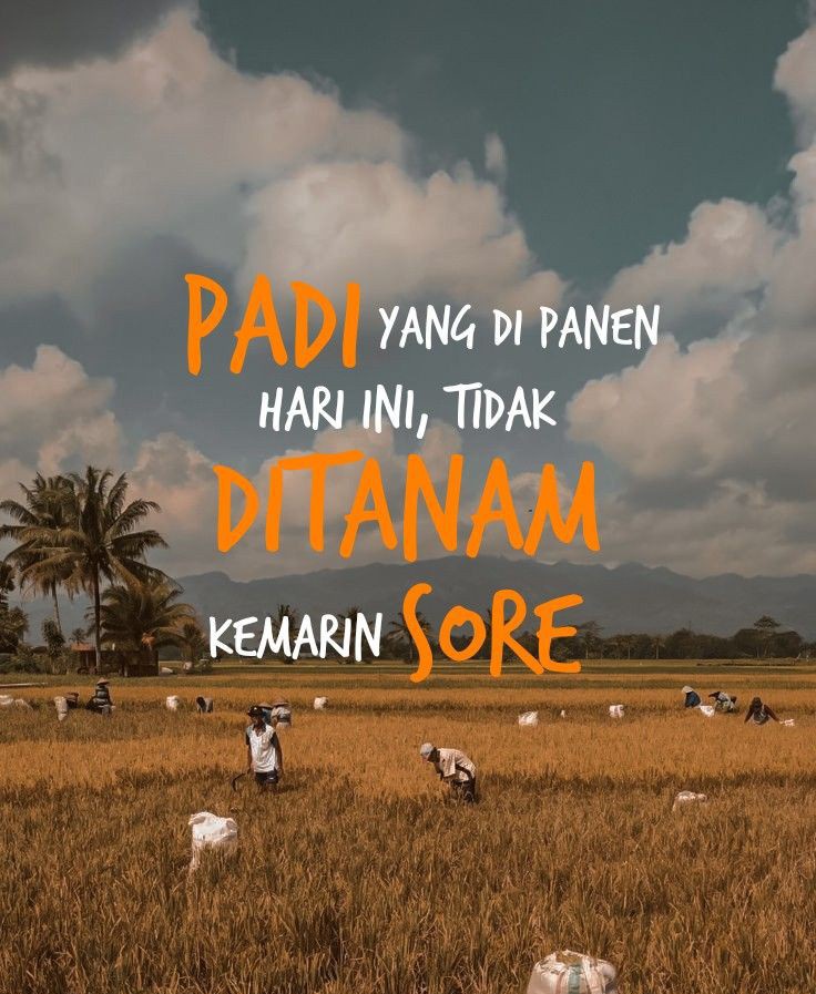 ❤❤❤❤
Alhamdulillah, Qadarullah kemarin aku dapat musibah yang karena kejadian ini bikin aku sadar;

memang benar, tiap ruh berkumpul dengan sesamanya. bersusun layaknya prajurit.

yang baik berkumpul dengan yang baik, sementara yang buruk pun demikian.

jika yang baik bertemu