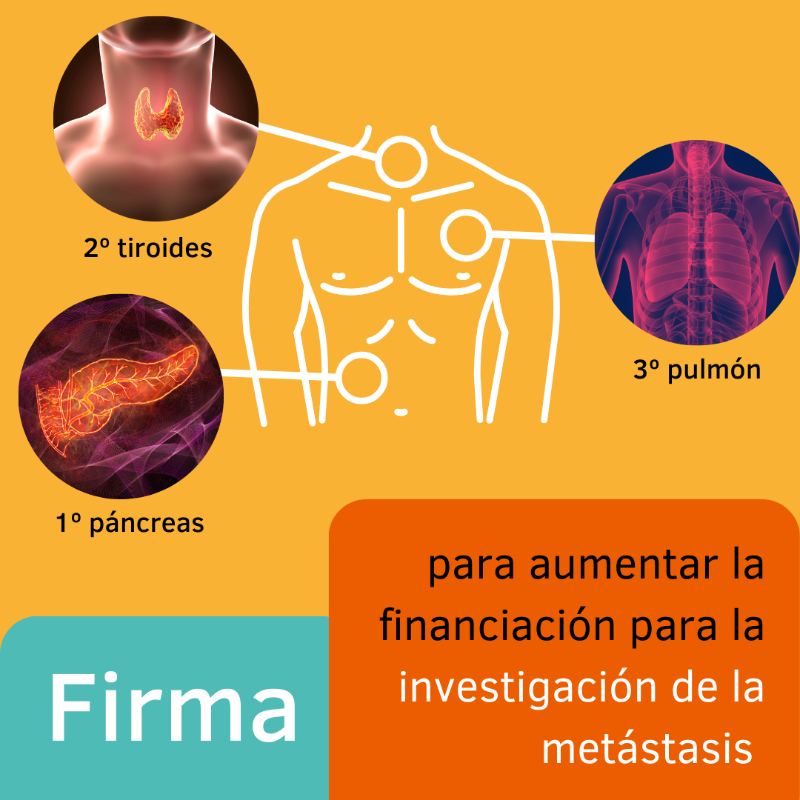 criscancer's tweet photo. 👉🏼 Tenemos que desestancar la investigación de una de las principales causas de muerte por cáncer.

El proceso de metástasis (dispersión del tumor a diferentes partes del cuerpo) es muy complejo y necesita mucha más investigación para desarrollar 💊 tratamientos específicos.