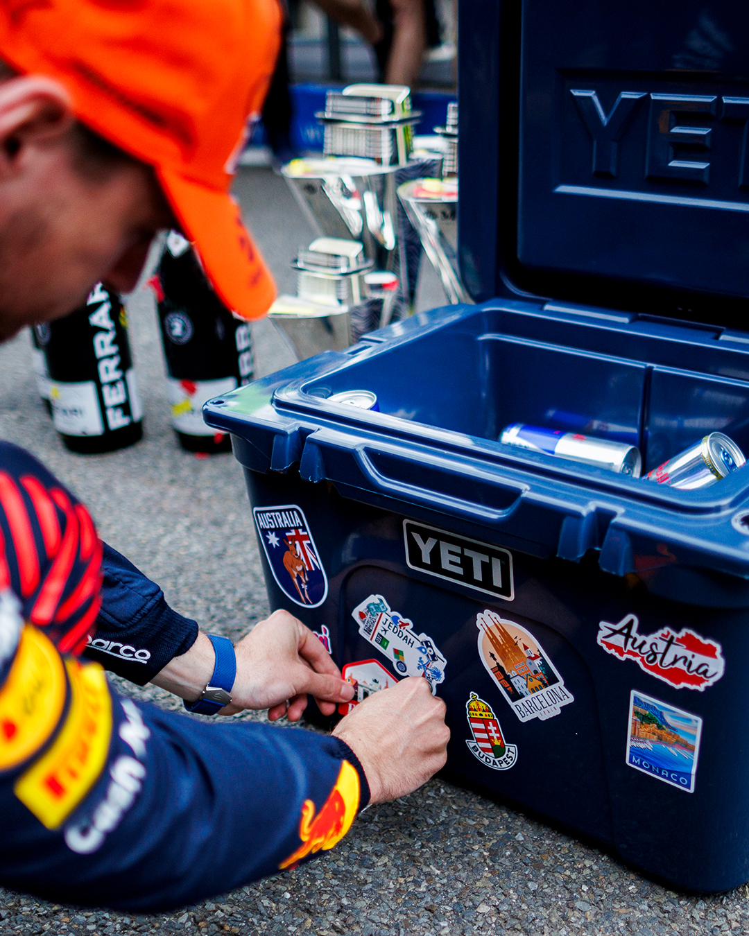 Yeti Red Bull F1 edu.svet.gob.gt