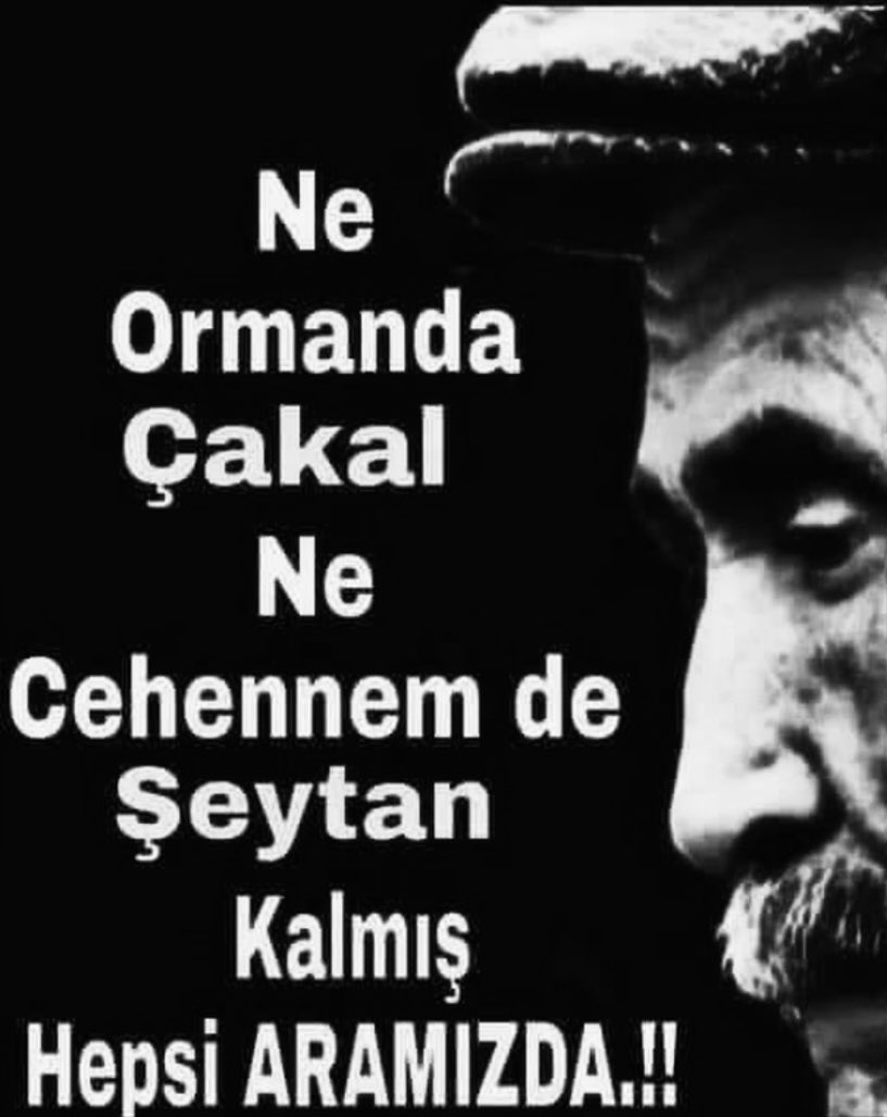 62EWR's tweet photo. Hepsi aramızda bir bir talan ediyorlar, insan’lığı. Yaşamak cennet’ken. https://t.co/mSskYarIUT