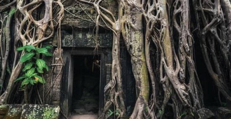 🇻🇳Discover Vietnam &amp; 🇰🇭 Cambodia 
‼️SAVE UP TO 40%

Was £5995*pp
✨NOW £3895*pp

🗓️26th September 2023
✈️Hanoi - Siem Reap
👍🏻18 Days
💙Travelmarvel Escorted Tour and River Cruise

📲Contact Becky for more information!

*T&amp;C’s apply, subject to availability