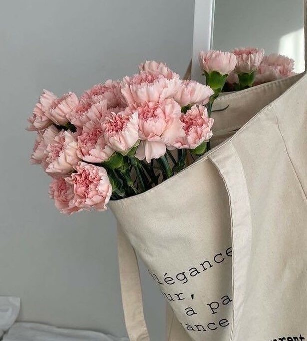 มกราคมคือคาร์เนชั่น (น.)
หมายถึง คุณเป็นคนที่จริงใจ ซื่อสัตย์และซื่อตรงต่อความรู้สึกของตัวเอง จนบางทีก็เผลอเอาจริงเอาจังไปบ้าง แถมซ่อนความรู้สึกไว้ไม่เก่ง ทำให้คนรอบตัวสังเกตได้เสมอ ‘เมื่อเลือกใครเข้ามาแล้วก็จะไม่เสียใจที่เขาเข้ามาอยู่ในโลกของคุณ’