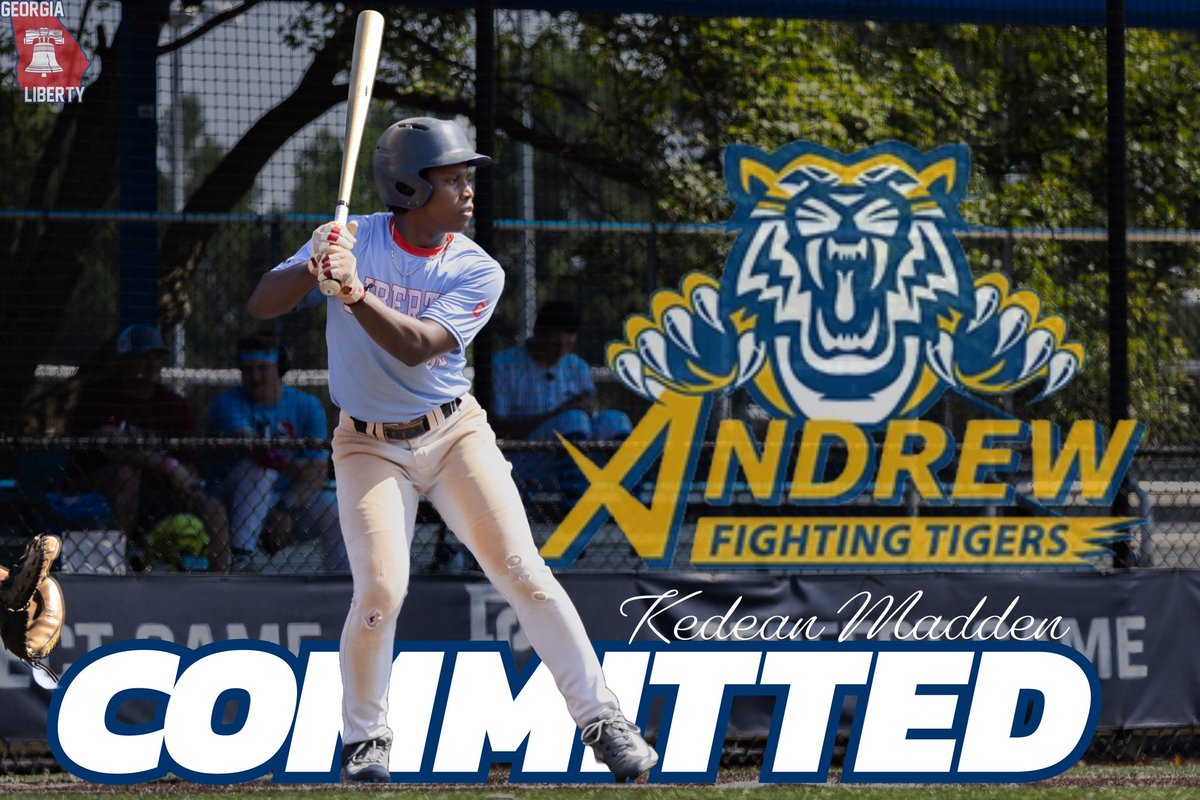 Georgia Liberty Baseball tweet media