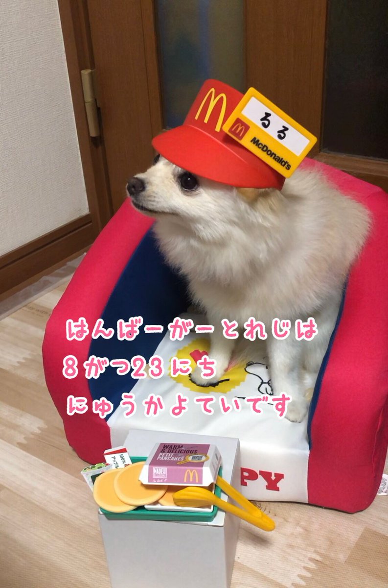 なりきりマクドナルドやってみましたー❣
サンバイザーが大きすぎてずり落ちる🤣
#なりきりマクドナルド
#マクドナルド
#ポメラニアン
#犬好きさんと繋がりたい