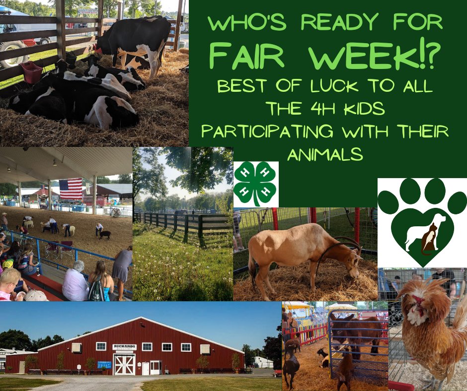 caringvets's tweet image. The #NJStateFair at the Sussex County Fairgrounds starts on Friday! Are you as excited as we are!? From learning about all kinds of farm animals, to carnival rides &amp;amp; games, and fried foods galore, what's your favorite part of the fair?
#SussexCountyNJ #SCNJ #NNJ #SussexCountyFair