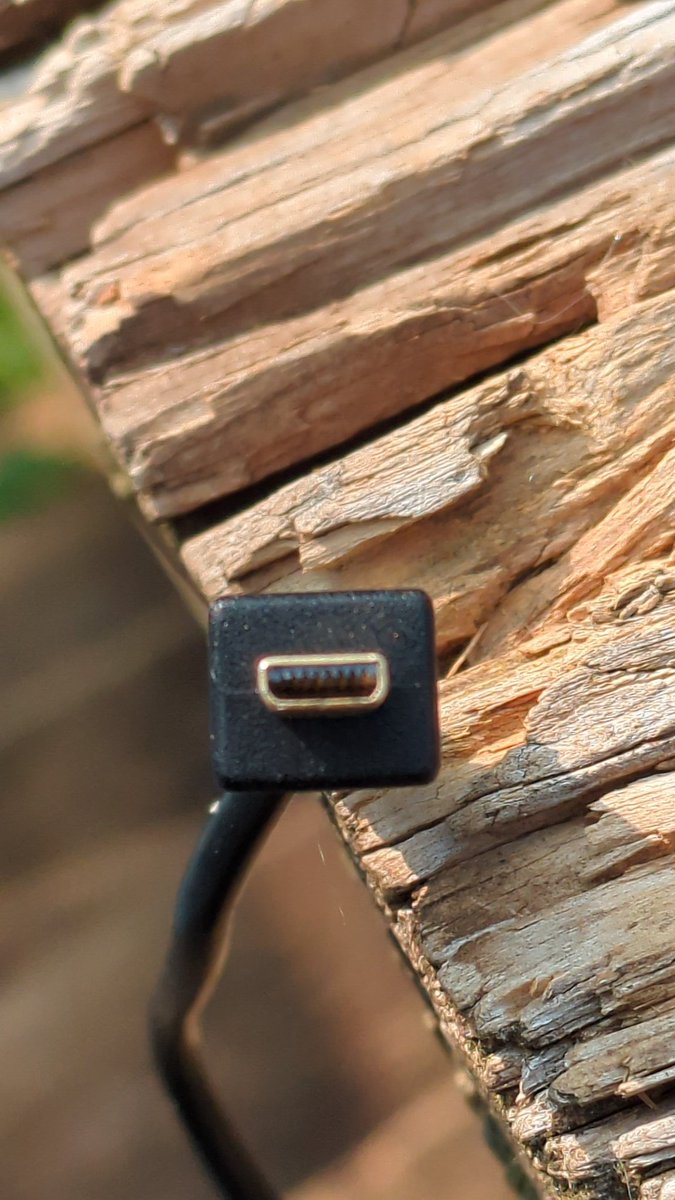 ✝️🇺🇲ℝ𝕐𝔸ℕ from I.T.🇺🇲✝️ tweet media