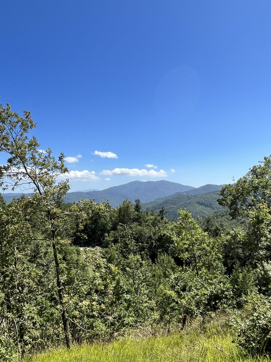 lnicelli's tweet photo. Monte Pelpi - Emilia Romagna - Italy https://t.co/SDir87U6rR