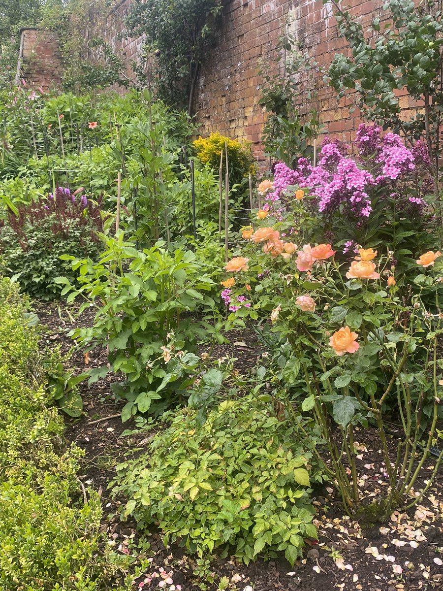 Some times inner peace comes from being with nature and hands in the soil 
it’s a shame our governments can’t see this #nature #worldpeace #coup #ELONMUSK