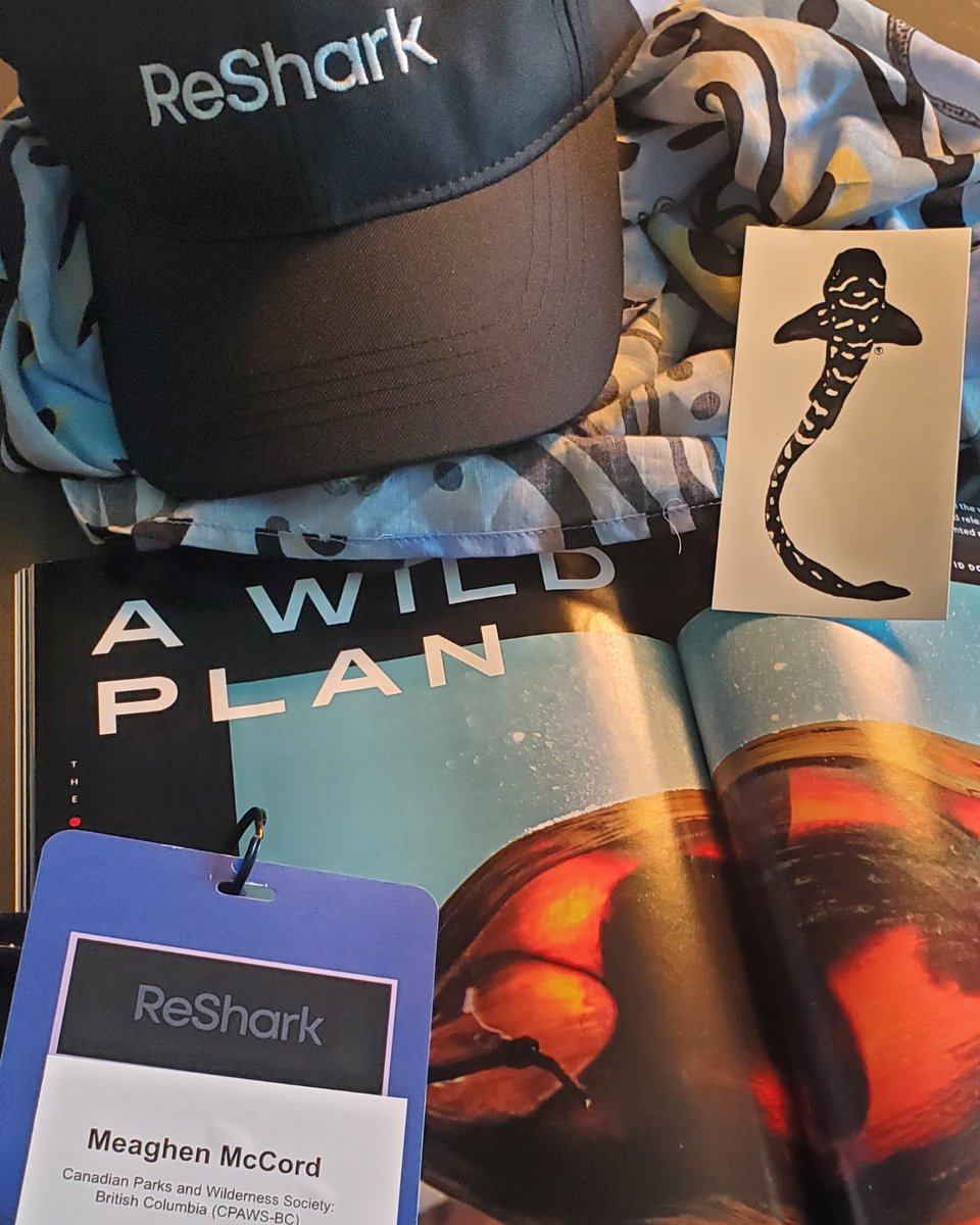 Meaghen McCord tweet media