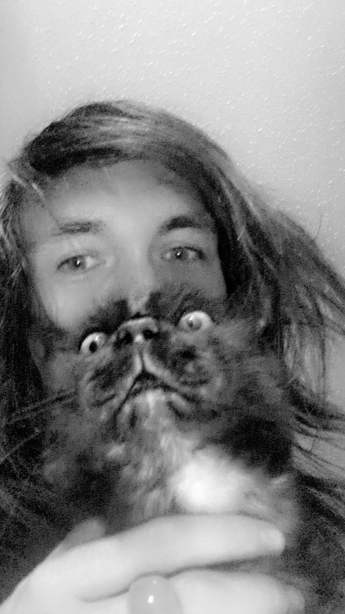 SHÜTTERFØXXi tweet media