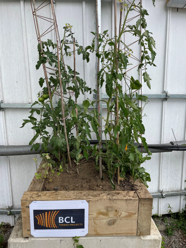 BCLTimber's tweet photo. BCL is proud to be supporting @scouts  at Edenbridge by sponsoring a planter. Thank you for organising @gallifordtry , and giving us the opportunity to help out this worthy cause. https://t.co/liefJ5R2tK