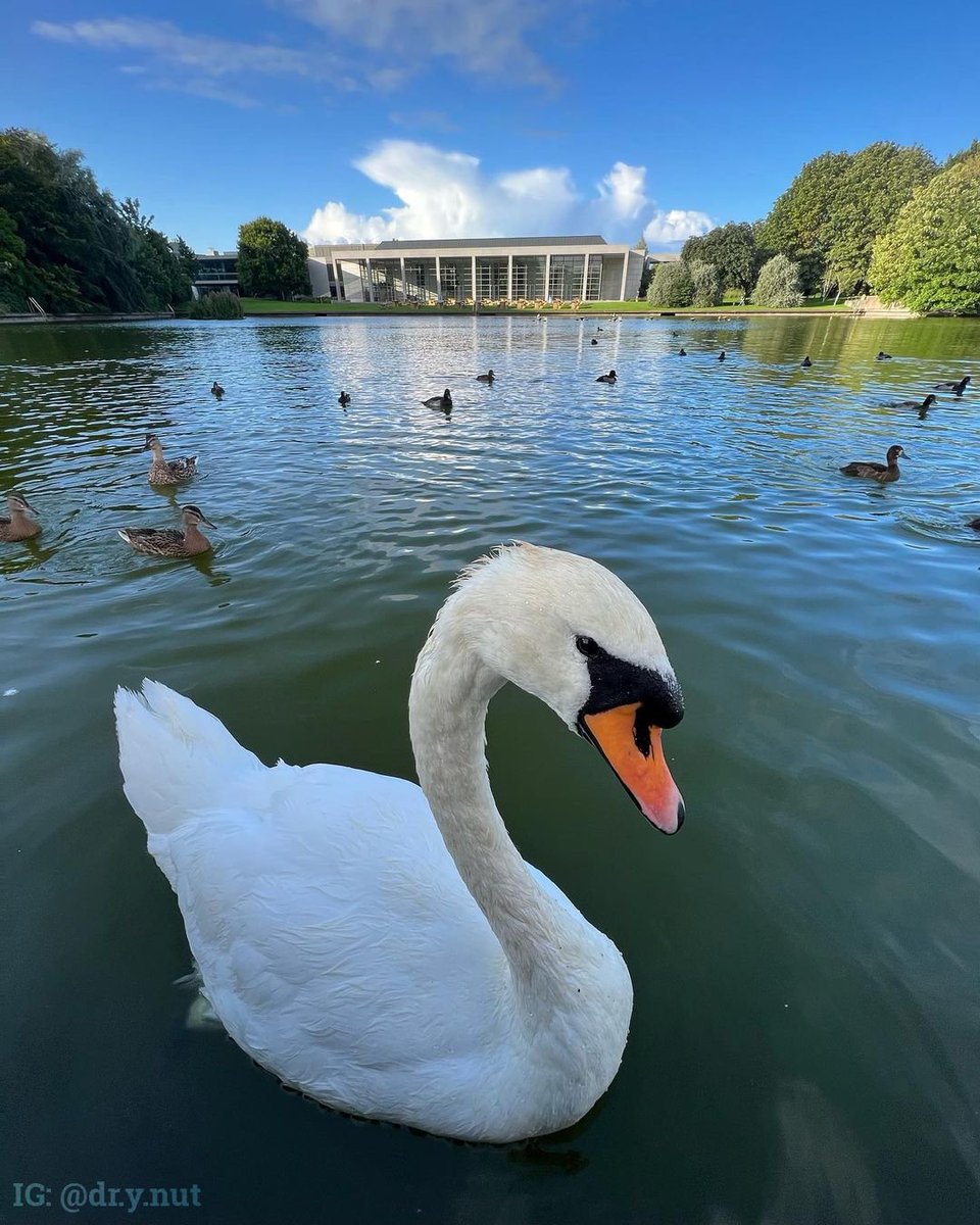 ucddublin's tweet photo. 🕵️‍♀️👁️ 𝓑𝓲𝓻𝓭'𝓼-𝓮𝔂𝓮 𝓿𝓲𝓮𝔀 https://t.co/qWHrWTl09u