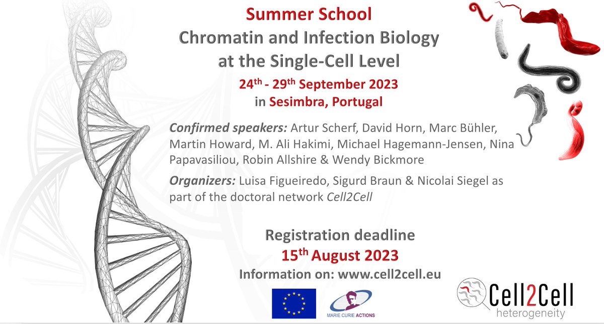 Cell2Cell tweet media