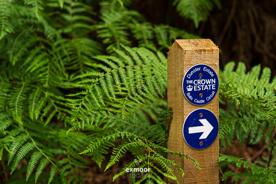 The right way. Click to go large - exmoor.today/20230801

#exmoor #dunster