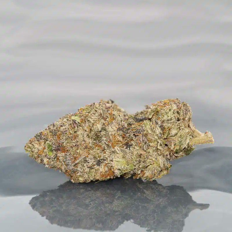 DealsCanna's tweet photo. #HighGradeAid: Get a free $25 credit for High Grade Aid when you spend $100. Use coupon: REF2TAYHAC3UN 
https://t.co/n6m0U0k6F3 https://t.co/4GCotFgml8