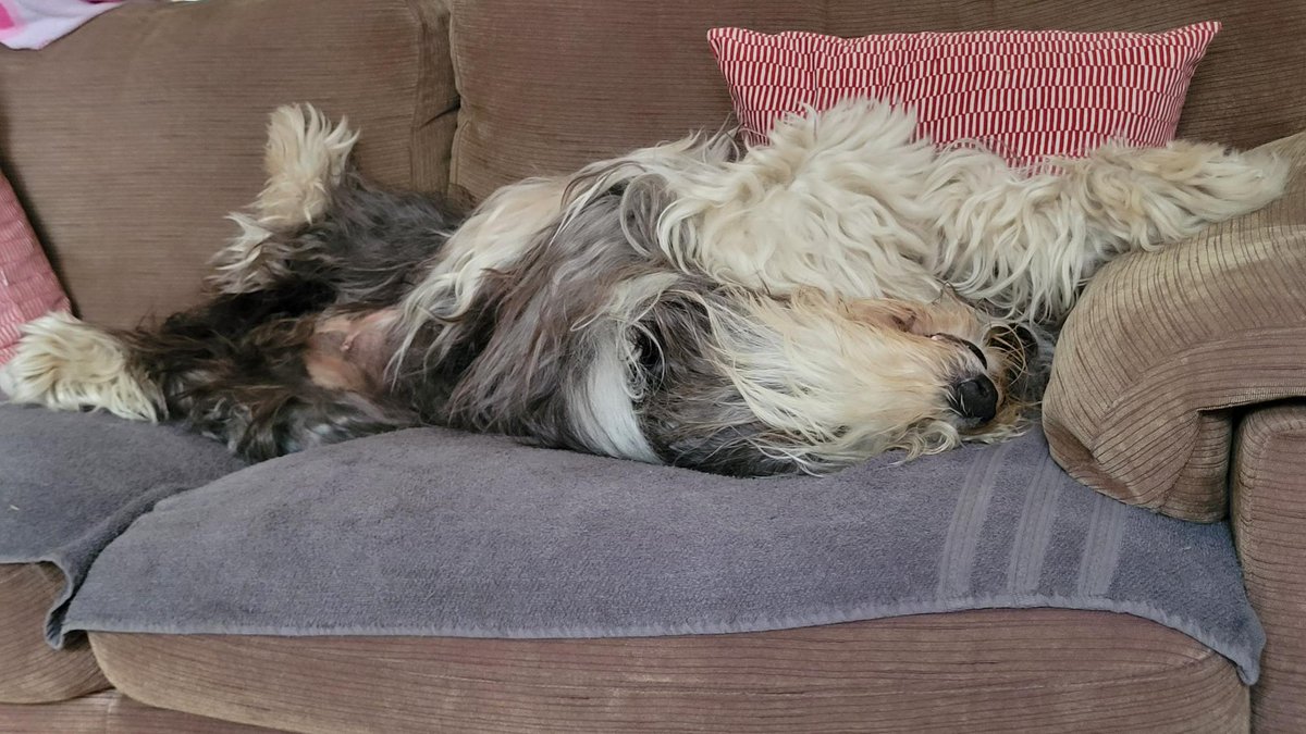 GilbyIM for Schools tweet media