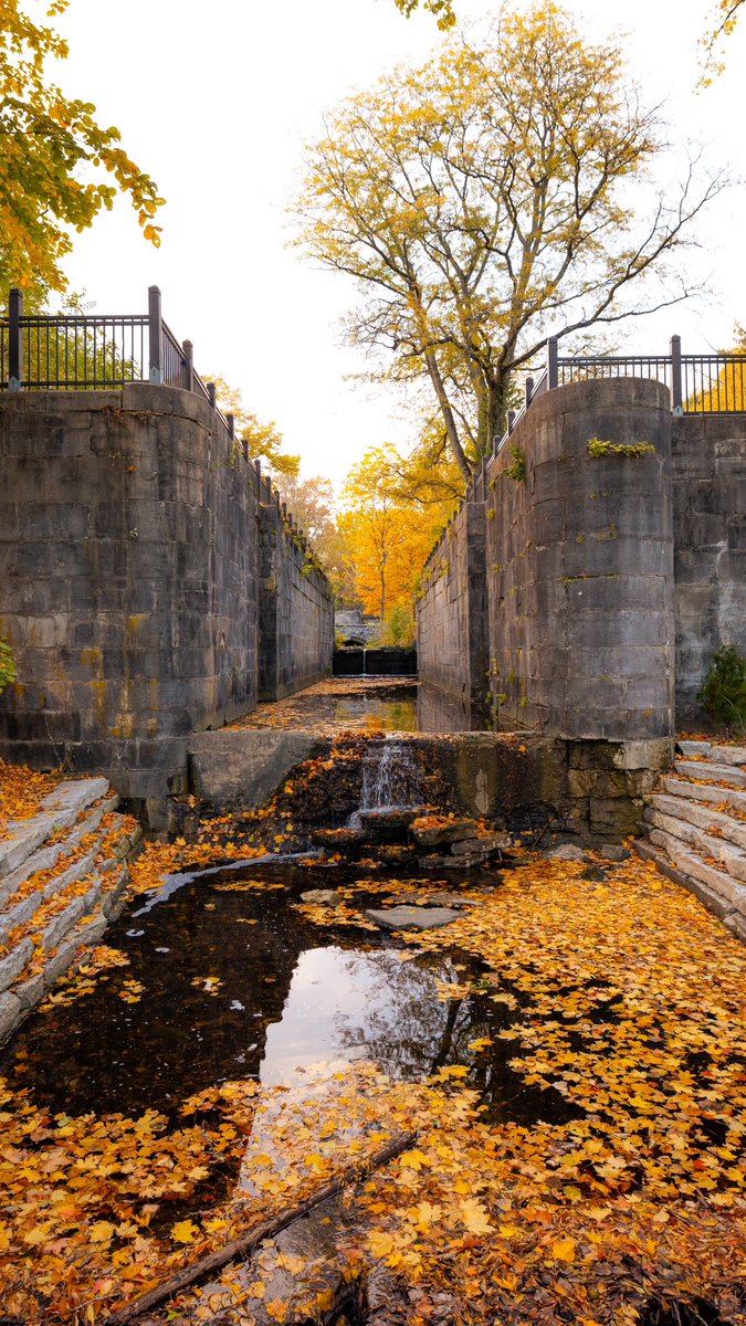 johnfmedia's tweet photo. Genuinely cannot wait for the fall colors to come back 🍂

Shot on Canon r5 📸 https://t.co/Gnzu4VkShZ