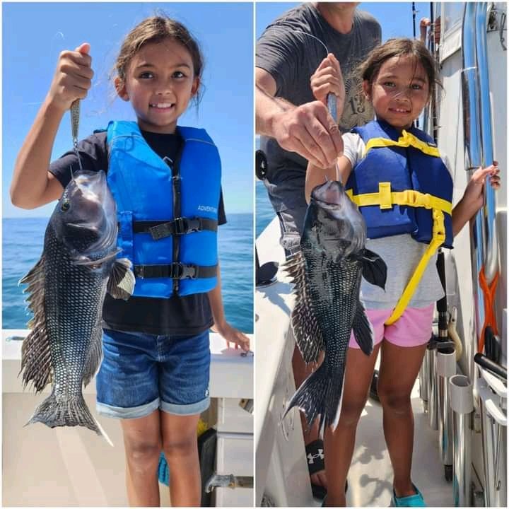 Michael3154561's tweet photo. Huge SHOUT-OUT to the winners of this week's Brag Board, Ella &amp; Taylor! Traveling all the way from Las Vegas, they jigged up these yummy Black Seabass out of Montauk, NY aboard their uncle's boat. 

Congrats young ladies!!

Thank you so much to all that participated https://t.co/5l4yWROAzT