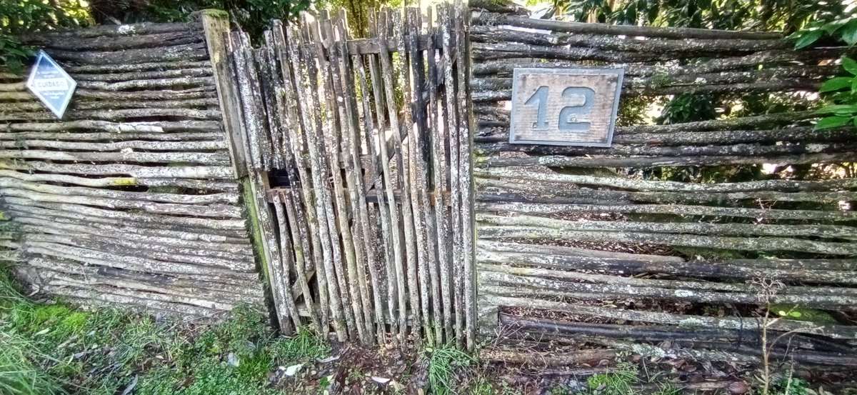 "Mi pasatiempo favorito es dejar pasar el tiempo, tener tiempo, tomarme mi tiempo, perder el tiempo, vivir a contratiempo".

- Françoise Sagan

🐈‍⬛The Puerto Varas. Poesía. Localidad. Actualidad. 

#PuertoVaras #LosLagos #Frutillar #PuertoOctay #Llanquihue #Localidad