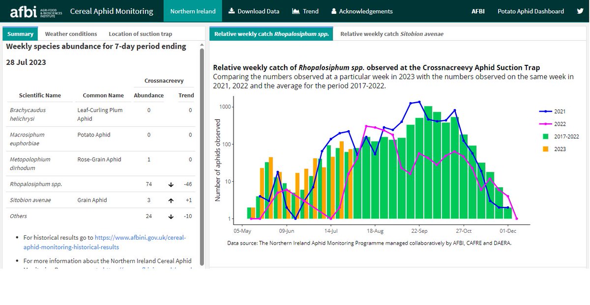 Aphid Monitoring in Northern Ireland tweet media