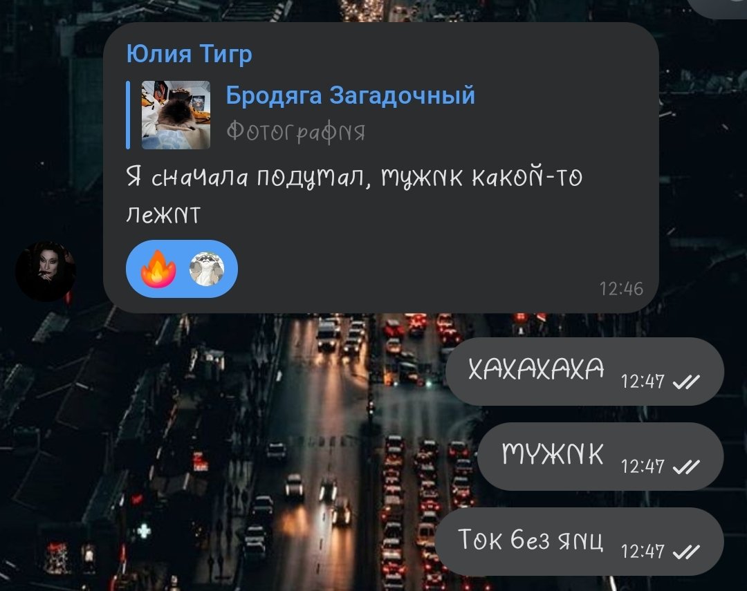 max_err0r303's tweet photo. БЛЯ , КАК ПЕРЕСТАТЬ РЖАТЬ?!
 #Memes #cats #Chat https://t.co/YRecdQTCzG