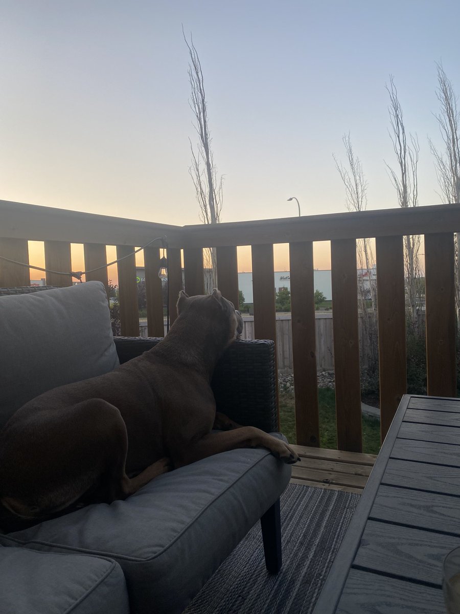 Emily J Morrison tweet media