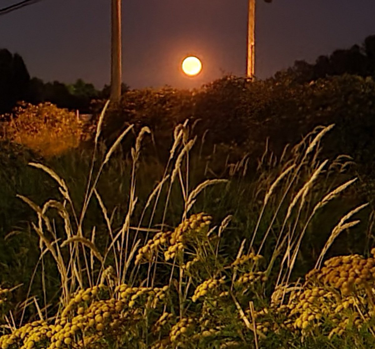 howyougo's tweet photo. Full Sturgeon Moon Tuesday night
#SuperMoon #August1st #bcstorm #Vancouver #Fullmoon #summerinthecity #stormhour #fullsupermoon #Westcoast #ShareYourWeather https://t.co/JuA49fHL4g