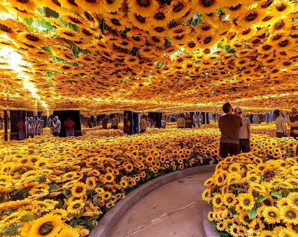 artindetails's tweet photo. sunflower room https://t.co/2pjQ6H1M43