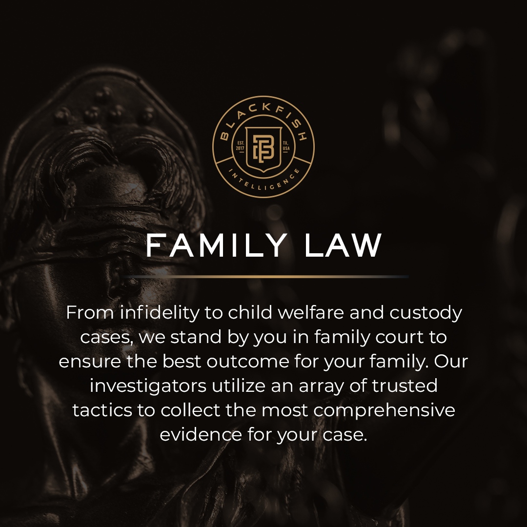 BlackfishIntel's tweet photo. Family law can be tough, but our services provide families with the information and documentation they need to make the best decisions possible for the future. 

#BlackfishIntelligence https://t.co/7N0EH9Pri5