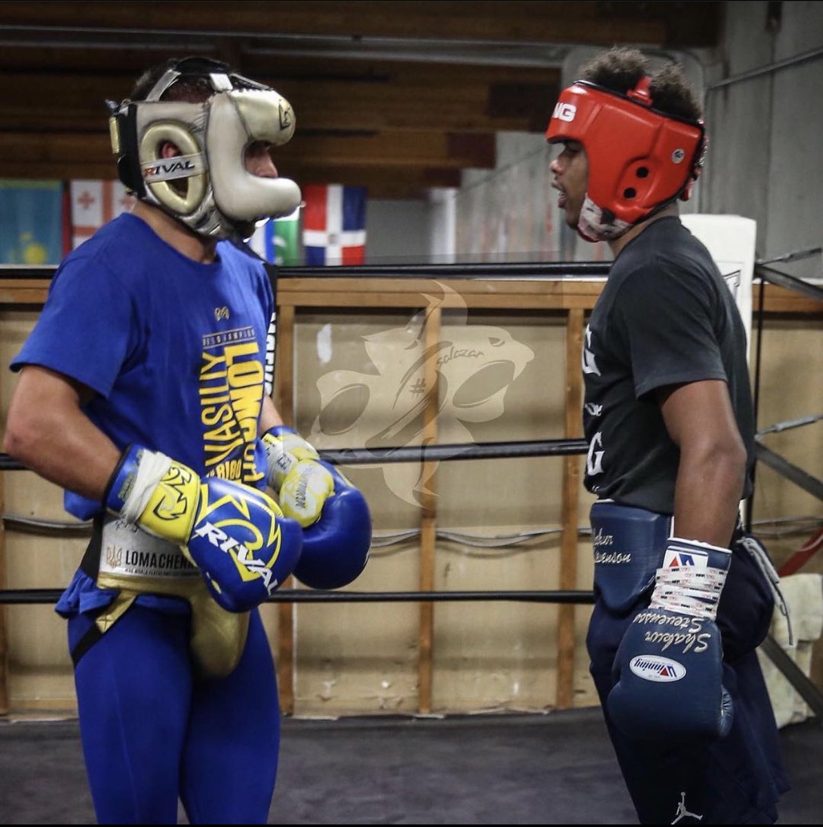 Yo champ <a href="/VasylLomachenko/">LOMA</a> let’s make the highest skill level fight happen, I want to give true boxing fans a spectacular night of boxing at the highest level 💰