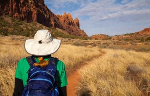 National Rural Health Association tweet media