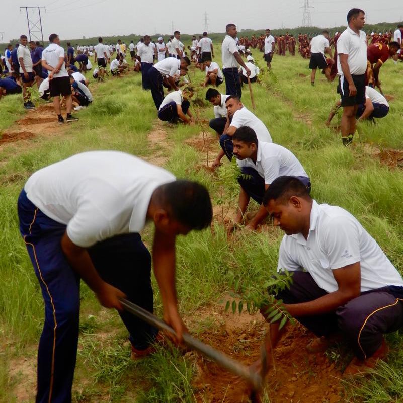 IaSouthern's tweet photo. ' वन महोत्सव ‘

Massive tree plantation drive organised by #BaldEagleBrigade at #Bhuj to nurture a greener &amp; cleaner environment. All ranks participated in plantation of more than 3500 saplings of varied species suitable for growth in local conditions.

#KonarkCorps
#GoGreen https://t.co/RxEgdZ2lGp
