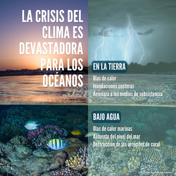 La crisis climática está devastando nuestro planeta, incluidos nuestros océanos.  
El momento de que #SalvemosLosOcéanos es AHORA.
Tú también puedes contribuir.  #ActúaAhora