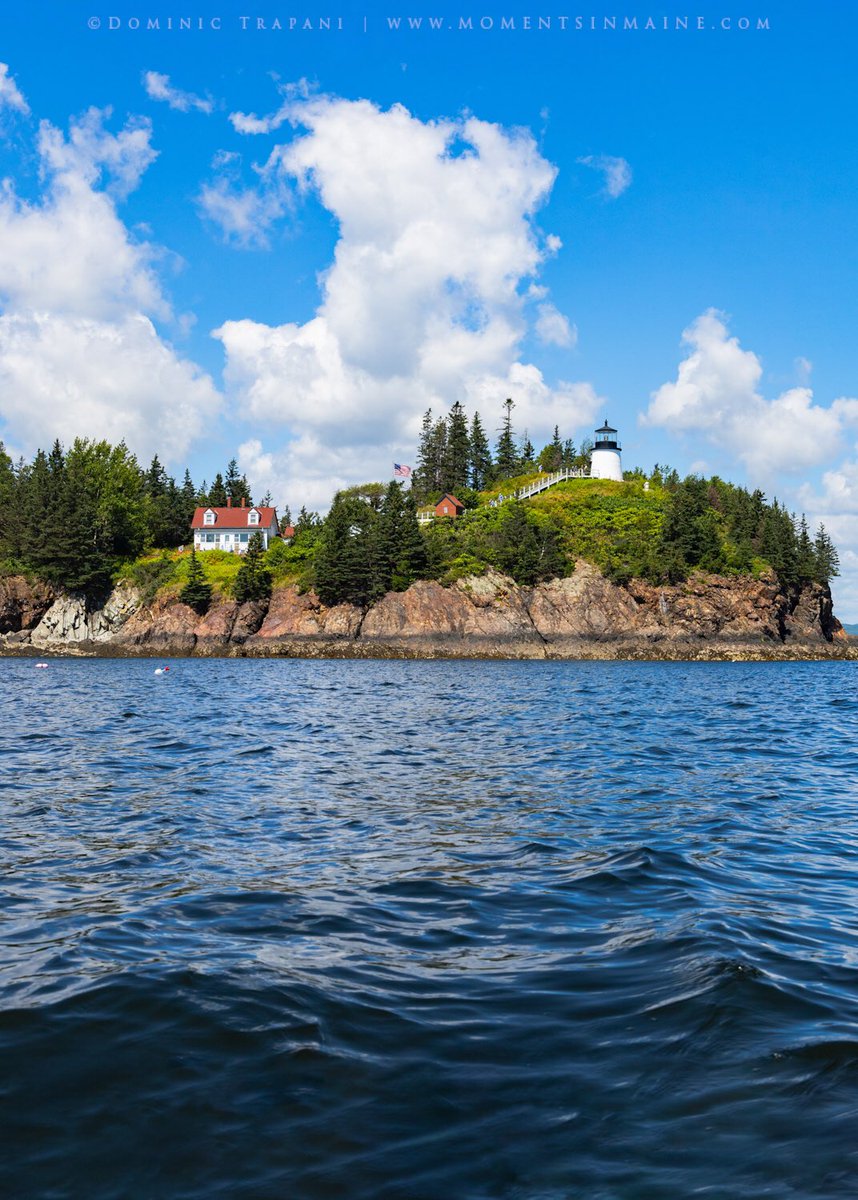 Dominic Trapani tweet media