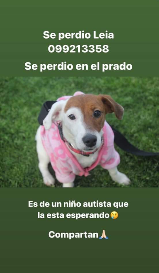NanizSusana's tweet photo. Ayudemos compartiendo https://t.co/dJfRnj6zRF