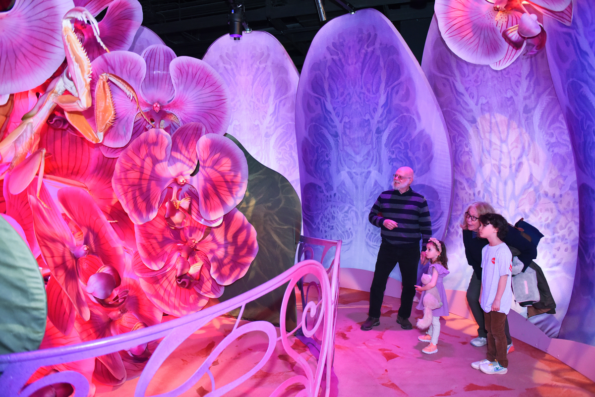 DenverMuseumNS's tweet photo. They're here and they're bigger than ever 🐞🐜 Marvel at the adaptive genius of bugs and see if you can match their brilliance in "Bugs."
See this buggy exhibition before it closes at the Museum on August 27. https://t.co/JdWfyEzEW6 #bugsatdmns https://t.co/9SYybHlIZF