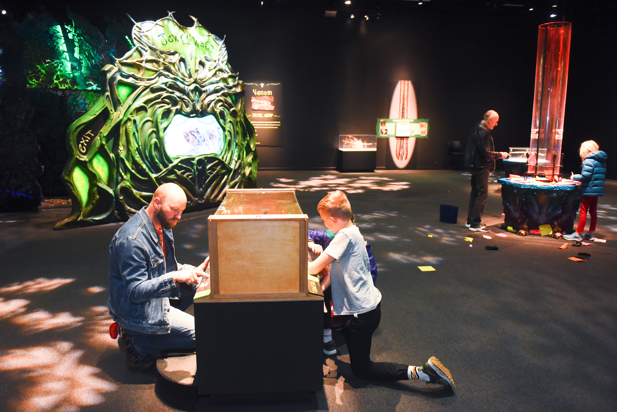 DenverMuseumNS's tweet photo. They're here and they're bigger than ever 🐞🐜 Marvel at the adaptive genius of bugs and see if you can match their brilliance in "Bugs."
See this buggy exhibition before it closes at the Museum on August 27. https://t.co/JdWfyEzEW6 #bugsatdmns https://t.co/9SYybHlIZF