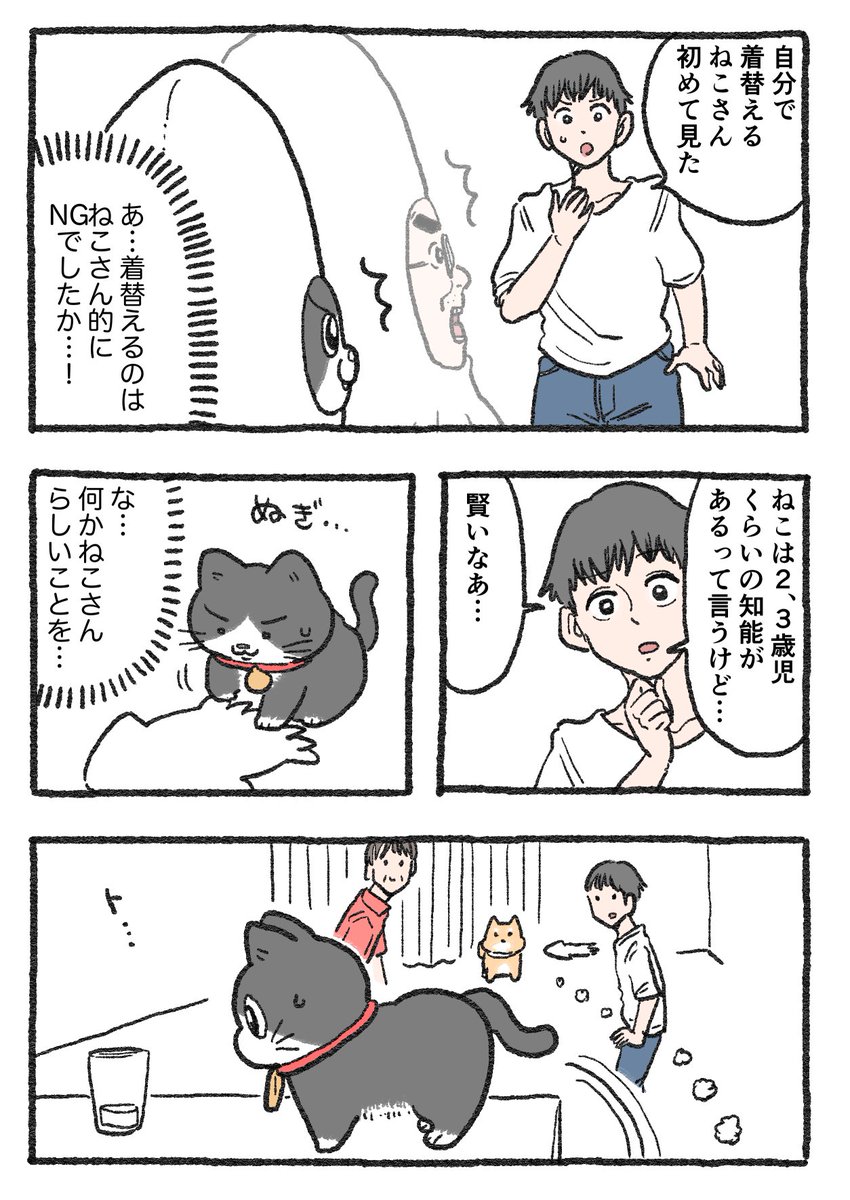 ねこおじ様 ねこに転生したおじさん。その179
