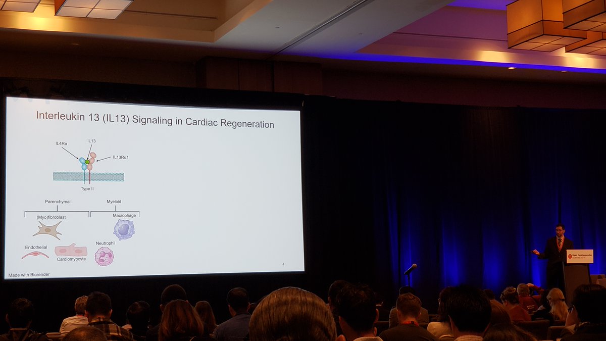 Ron Vagnozzi (@vagnozzirj) on Twitter photo Fantastic #BCVS23 session on cardio-immunology chaired by <a href="/annetkiraboc1/">Annet Kirabo D.V.M., M.Sc., Ph.D., F.A.H.A.</a> <a href="/luigiadamomdphd/">Luigi Adamo</a>. Great talks on #macrophage metabolism (<a href="/thorplab/">EdT</a>), T cells in cardiac #fibrosis (<a href="/PilarAlcaidePhD/">Pilar Alcaide, PhD</a>), autoimmunity in HF (<a href="/notimmuneatall/">Susanne Sattler</a>) and #regeneration (Santiago Alvarez, <a href="/ccomeara/">Caitlin O'Meara PhD</a> lab) Fantastic #BCVS23 session on cardio-immunology chaired by <a href="/annetkiraboc1/">Annet Kirabo D.V.M., M.Sc., Ph.D., F.A.H.A.</a> <a href="/luigiadamomdphd/">Luigi Adamo</a>. Great talks on #macrophage metabolism (<a href="/thorplab/">EdT</a>), T cells in cardiac #fibrosis (<a href="/PilarAlcaidePhD/">Pilar Alcaide, PhD</a>), autoimmunity in HF (<a href="/notimmuneatall/">Susanne Sattler</a>) and #regeneration (Santiago Alvarez, <a href="/ccomeara/">Caitlin O'Meara PhD</a> lab)
