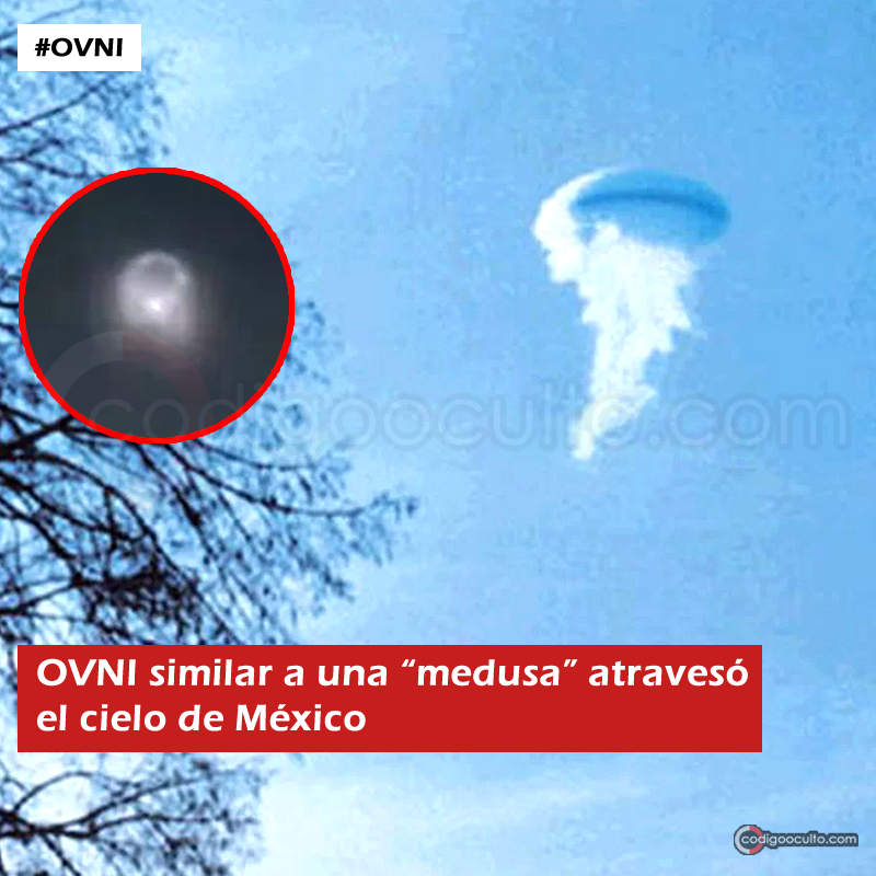 exploracionovni's tweet photo. Un objeto volador desconocido que se parece a una "medusa" atravesó el cielo de Tamaulipas en México, ante la mirada atónita de los presentes.
#OVNI #OVNIS #mexico #tamaulipas #UFOS #ufo #UAP #FANI #codigooculto https://t.co/AFXv0Lv431