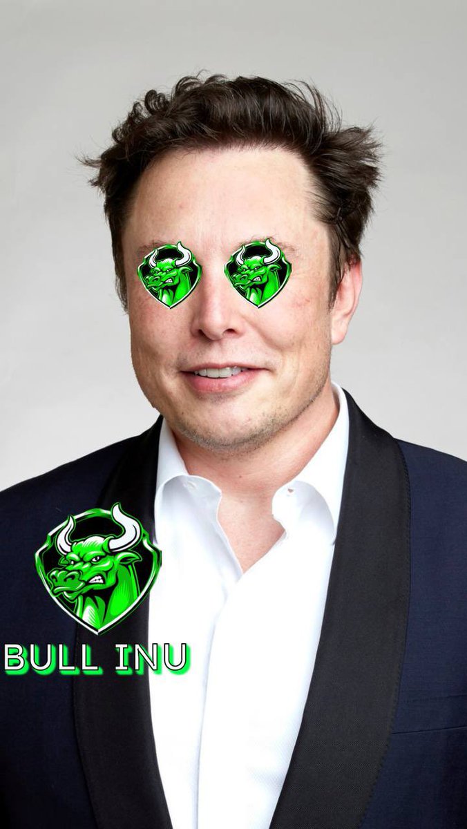 BULL INU💹🔥🚀 tweet media